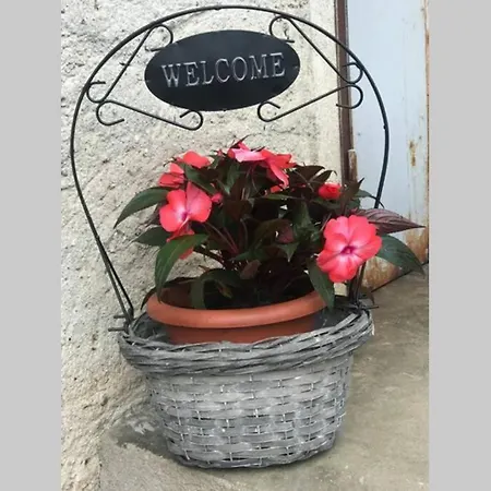 Ul Baitin Da In Re Краведжиа